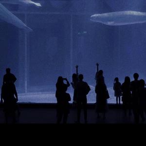 中国妓女三角库淫乱视频
